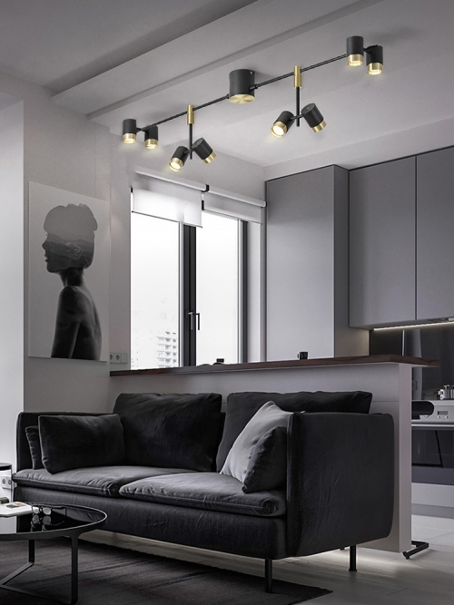 Base Ceiling Spot