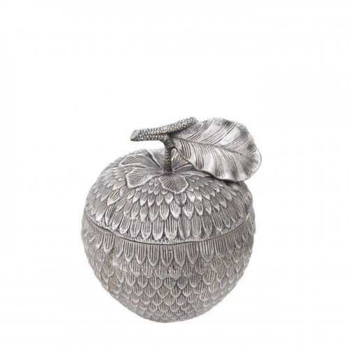 Box Custard Apple 113104