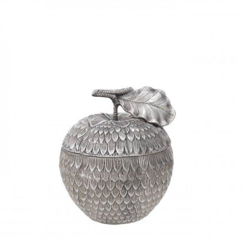 Box Custard Apple 113104