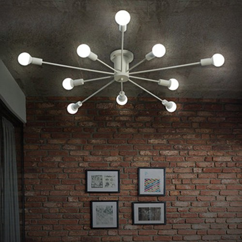 Ceiling Spider 2