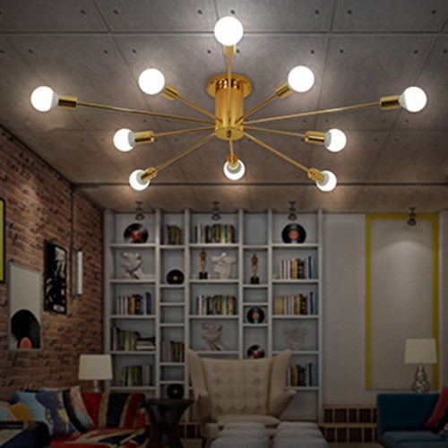 Ceiling Spider 2