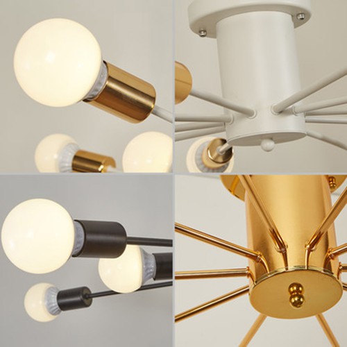 Ceiling Spider 2