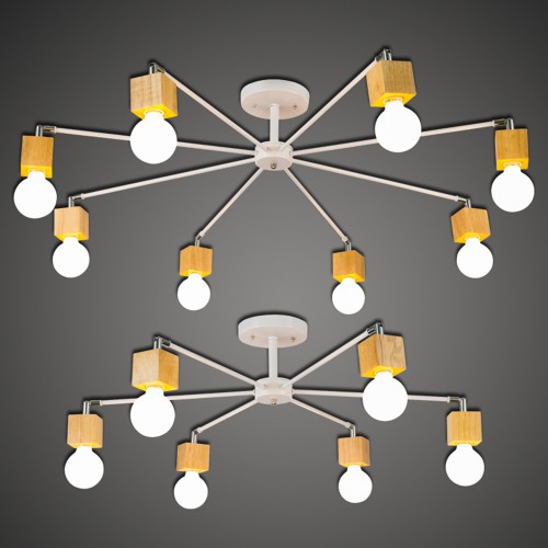 Ceiling Spider 3