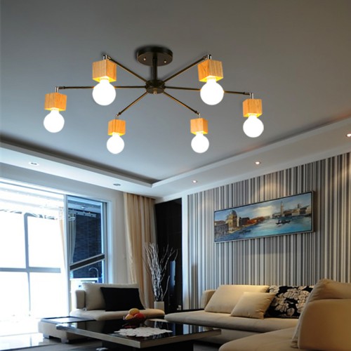 Ceiling Spider 3