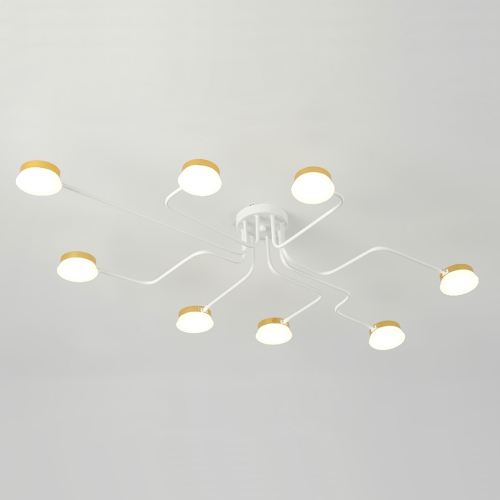 Ceiling Spider Care