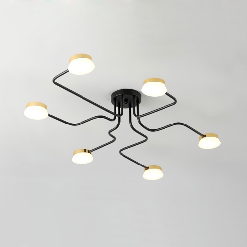 Ceiling Spider Care