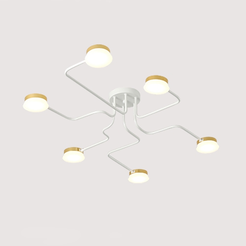 Ceiling Spider Care