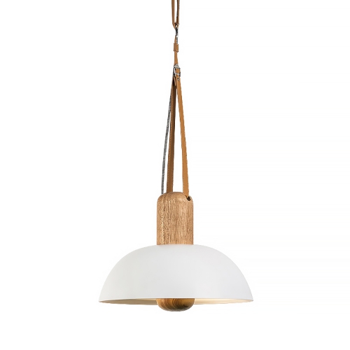 Eco Pendant