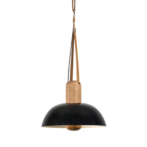 Eco Pendant