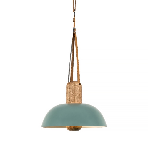 Eco Pendant