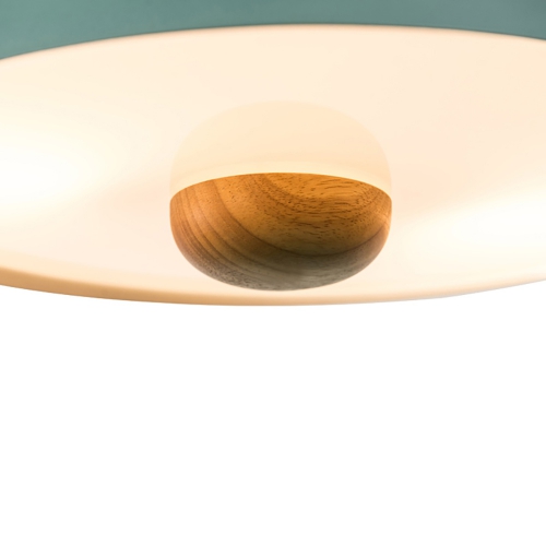 Eco Pendant