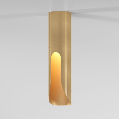 Elektrostandard 25113/LED