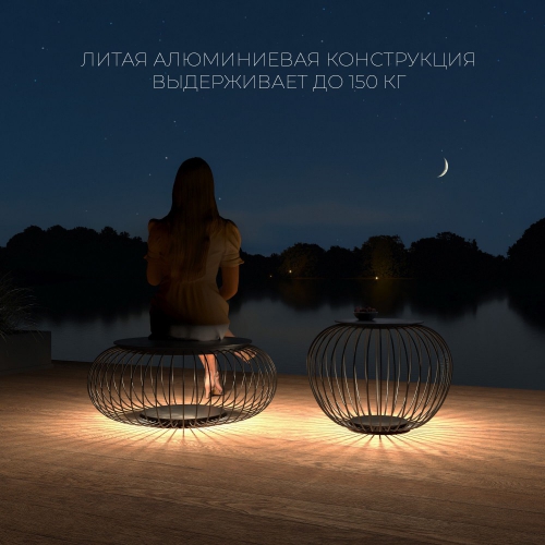 Elektrostandard 35178/F черный