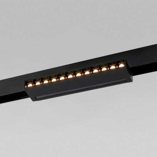 Elektrostandard 85010/01