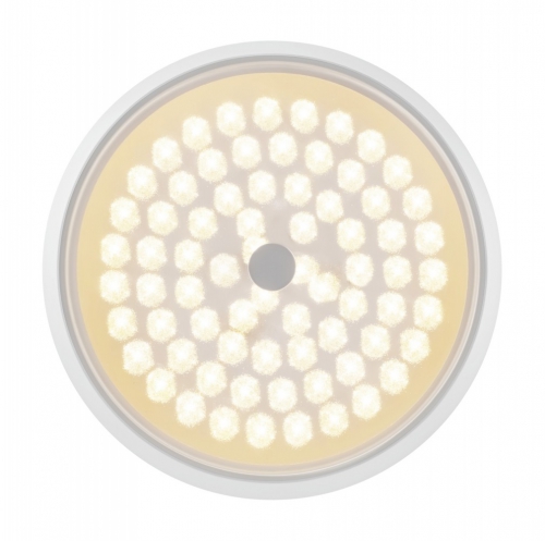 Freya FR10012CL-L24W