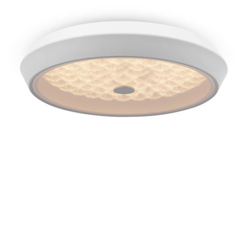 Freya FR10012CL-L24W