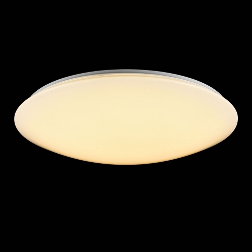 Freya FR6999-CL-45-W