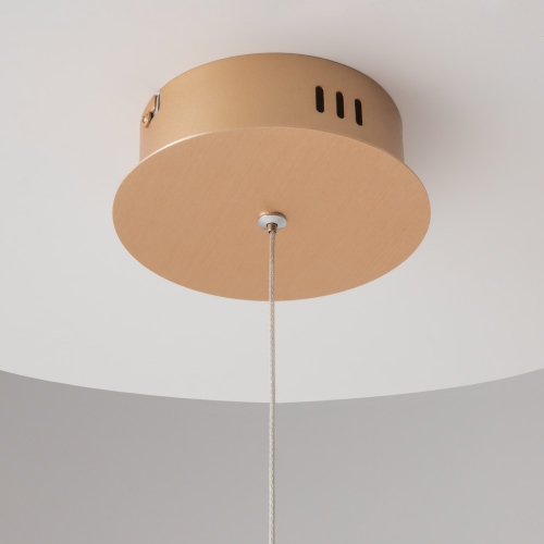 Maytoni MOD017PL-L13G