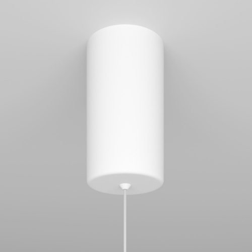Maytoni P022PL-L10W