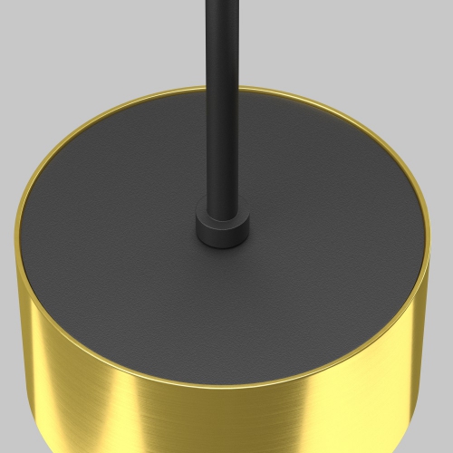 Maytoni P102PL-12W4K-BS