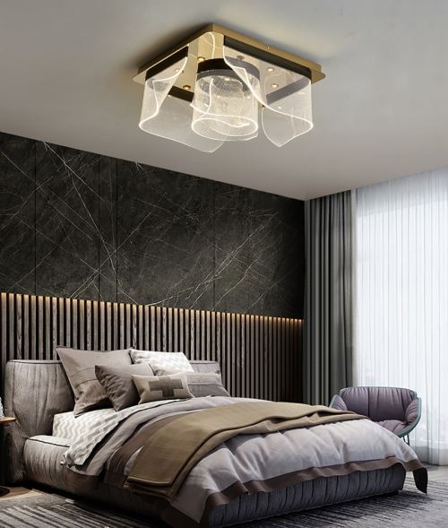 Modern Ceiling Lin