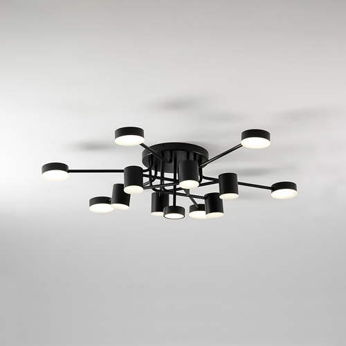 New Care Ceiling