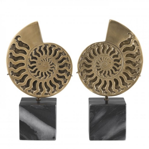 Object Ammonite (2 шт.) 113731