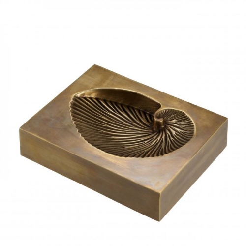 Object Conchiglia 113321