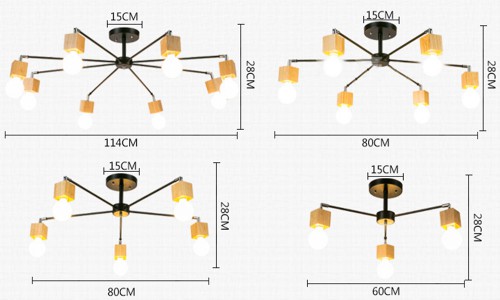 Ceiling Spider 3