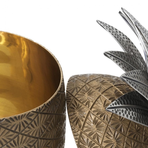 Pineapple 111553