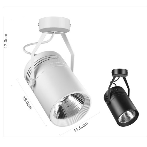 Спот 206