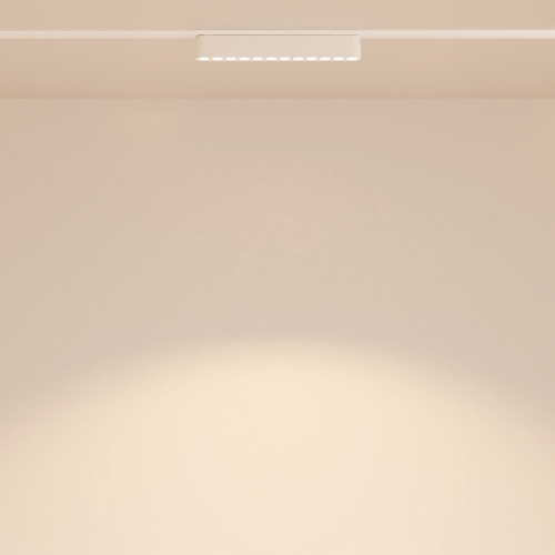 Technical TR082-1-12W3K-M-W